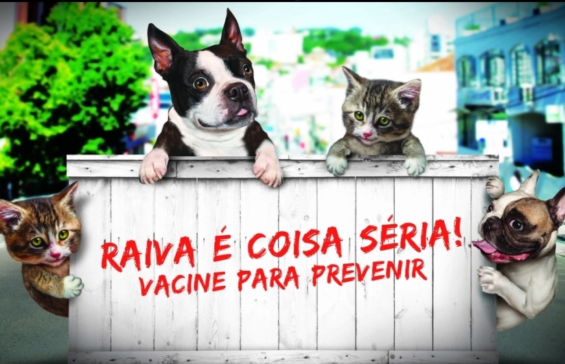 Resultado de imagem para vacinação contra raiva de cães e gatos