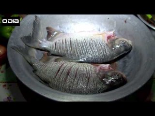 Sabor do Dia: Receitas simples e deliciosas í  base de peixe