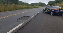 Caminhão desgovernado mata fiscal de prefeitura e motociclista na BR-407