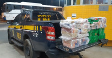 Floriano: PRF apreende 151 Kg de maconha transportados em Ã´nibus de turismo
