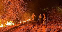Incêndio em São Raimundo Nonato: bioma pode levar até 20 anos para ser recuperado