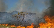 Incêndios: SEMAR publica portaria e proíbe queima controlada no Piauí