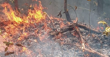 VÃDEOS: Piauí tem média de 177 focos de incêndio por dia em setembro, aponta Inpe