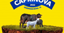 Feira Caprinova 2022 reunirá mais de 120 expositores em Queimada Nova