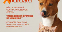 OAB-PI lança campanha de arrecadação para abrigos de animais em Teresina