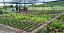 Prefeitura de Pimenteiras investe em hortas comunitárias na zona rural