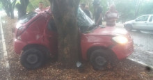 Jovem morre após bater o carro contra árvore na Avenida Maranhão