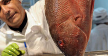 Brasil deve ser protagonista na produção de pescados, diz secretário