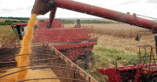 Conab: produção de grãos deve alcançar 235,3 milhões de toneladas
