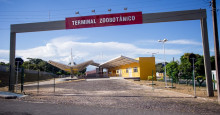 Novo terminal altera trajetos de Ã´nibus na zona Leste de Teresina
