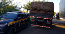PRF apreende 25 mil Kg de madeira sem licença ambiental na BR-316