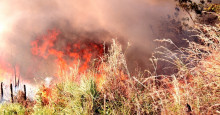 Piauí: focos de queimadas aumentam 407% no mês de junho