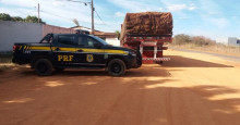 PRF apreende madeira avaliada em R$ 9 mil sem licença ambiental