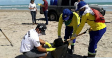 Em um dia, Semar recolhe cerca de 100 Kg de óleo das praias