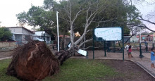 Forte chuva provoca falta de energia e queda de árvores em Teresina