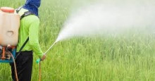 Ministério da Agricultura libera 57 agrotóxicos no Brasil