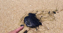 Manchas de óleo atingem praias da Pedra do Sal, Pontal e Peito de Moça