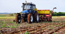 Ãrea de cultivo da soja perde 32,2 mil hectares para o milho