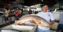 Quilo do peixe pode custar até R$ 57,00 no período da quaresma