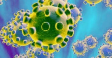 Coronavírus: dieta e estresse interferem na resposta imune