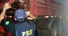 PRF apreende madeira sendo transportada sem licença ambiental na BR-316