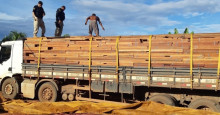 Motorista é preso por transportar madeira serrada sem licença ambiental