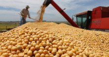 Piauí deve ultrapassar a marca de 5 milhões de toneladas de grãos