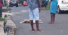 Suspeito de matar cães a tiros durante perseguição é preso em Teresina