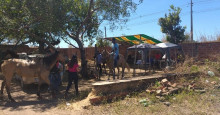 Isolamento em Teresina: Guarda acaba com vaquejada clandestina na zona Sul
