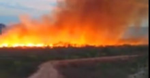 Incêndio em Palmeira do Piauí: Bombeiros combatem fogo há mais de 24 horas