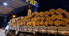 PRF: madeira irregular apreendida no Piauí equivale a 4 estádios de futebol