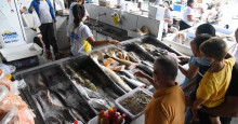 Quaresma: consumo de peixe aumenta e quilo pode chegar a R$ 48 em Teresina