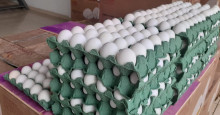 Venda de ovos aumenta 50% na Quaresma em Teresina; veja preços