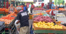 Piauí: Banco de Alimentos distribuiu 250 mil Kg de frutas e verduras a famílias carentes