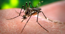 Saiba como diferenciar os sintomas da dengue e da Covid-19