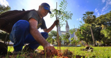 Teresa Britto propõe plantio de uma árvore para cada novo nascimento no Piauí