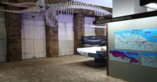 Museu do Mar, em Parnaíba, vai conter esqueleto de baleia de 16 metros