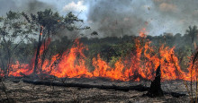 Número de focos de queimadas em junho é o maior dos últimos nove anos no Piauí