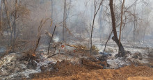 São Raimundo Nonato: área destruída por incêndio equivale a quase 4 mil campos de futebol