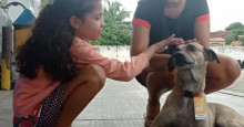 Cachorro Alfredo, que viralizou em posto de combustível, ganha ‘dia de beleza’ em Teresina