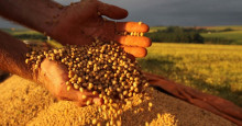 Participação da soja nas exportações do Piauí cresceu 7% em 2021
