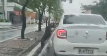Video: Polícia identifica dono de carro que teria abandonado cachorro na chuva em Teresina