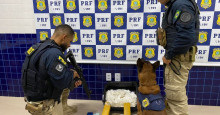 Floriano: cão farejador encontra mala com drogas avaliada em R$ 250 mil
