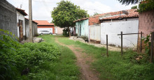 Moradores no Parque Piauí vivem em rua com mato e escorpiões