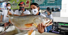 Preço do peixe pode aumentar até 20% na Quaresma; “vai virar comida de rico”