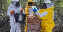 Dia Mundial das Abelhas: projeto promove capacitação a apicultores em Picos