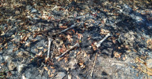 Ossada humana é encontrada queimada na zona Rural de Teresina