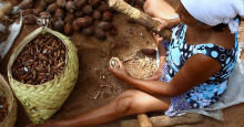 Projeto reconhece quebra do coco babaçu como patrimônio cultural do Piauí