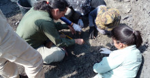 Pesquisadores encontram fósseis de preguiça gigante em Várzea Branca