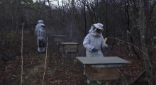 Embrapa realiza curso voltado para quem possui interesses em criar abelhas 04 12 2021